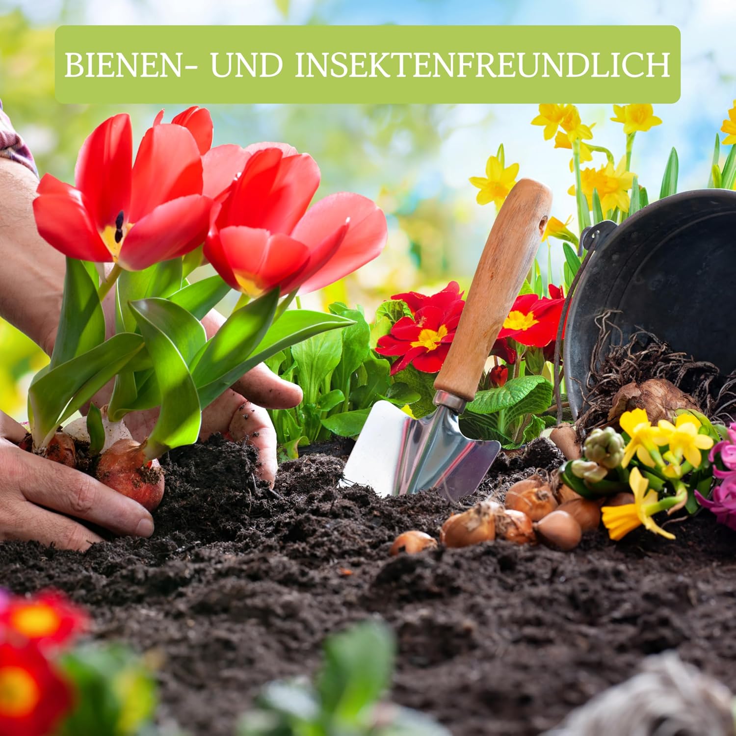Blumen Samen für Garten und Balkon: 10 Sorten Premium Blumensamen Tütchen als Pflanzensamen Set – Balkonblumen Samen – Wildblumensamen Saatgut Balkon und Garten von OwnGrown