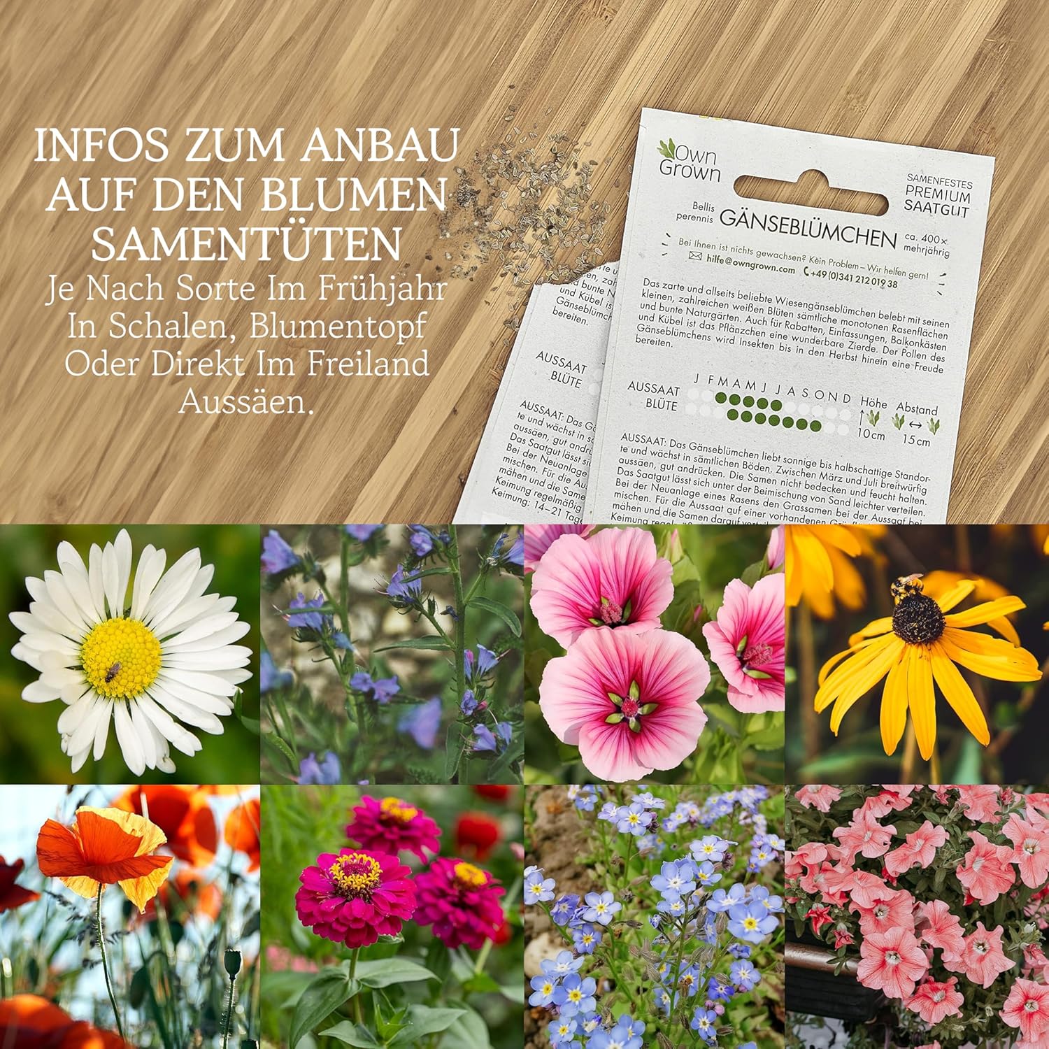 Blumen Samen für Garten und Balkon: 10 Sorten Premium Blumensamen Tütchen als Pflanzensamen Set – Balkonblumen Samen – Wildblumensamen Saatgut Balkon und Garten von OwnGrown